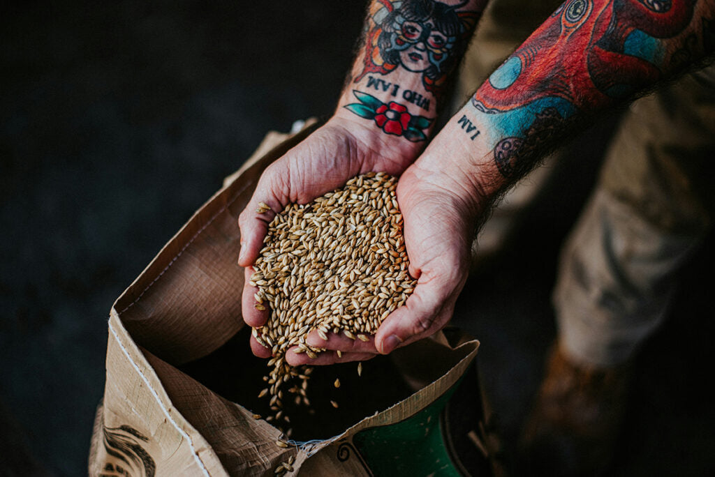 All you need to know about Dark Beers in one place!