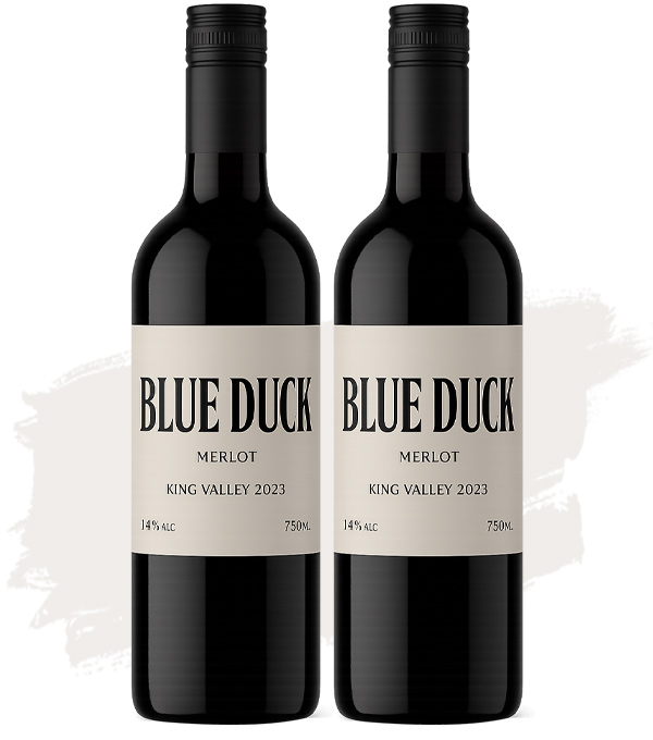 Bundle Buy (2x Blue Duck Merlot - 12 Pack - Labelled)
